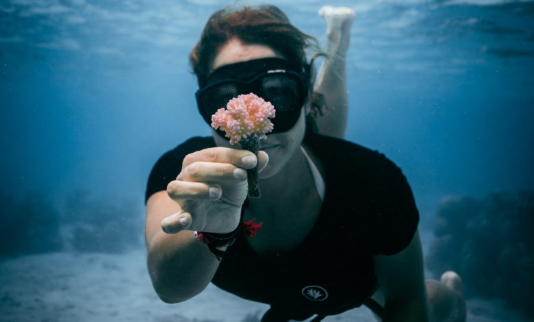 Marie-Céline Piednoir_ Coral Gardeners