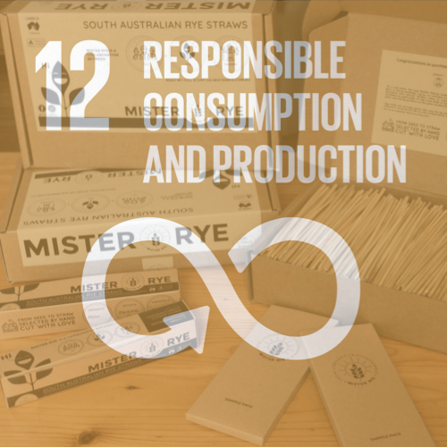 Mister-RYE-12-Responsible-Consumption
