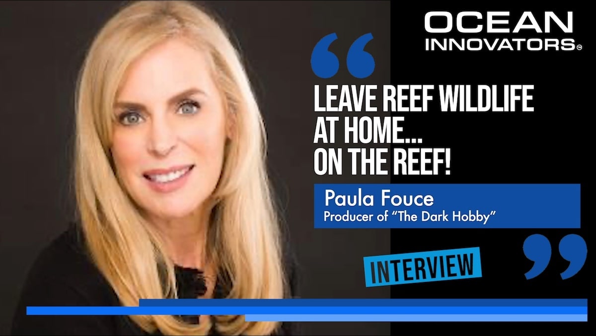 Paula Fouce-interview-min