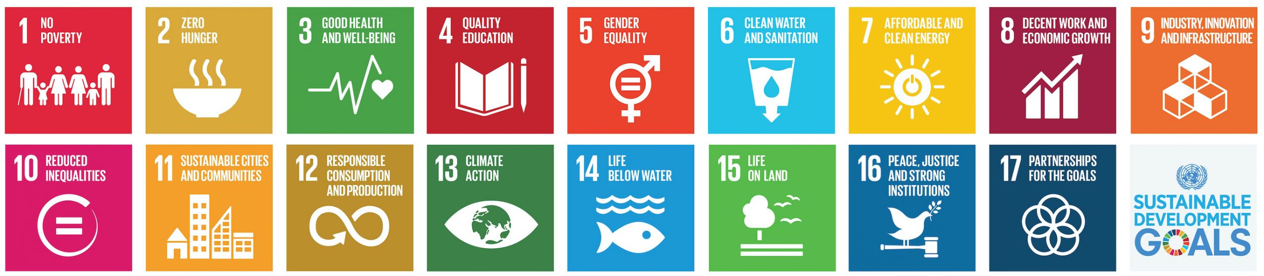 United Nations Sustainable Development goals