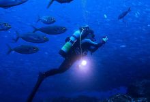 Sylvia-Earle-Mission-Blue-Global-Coalition-Ocean-Protection