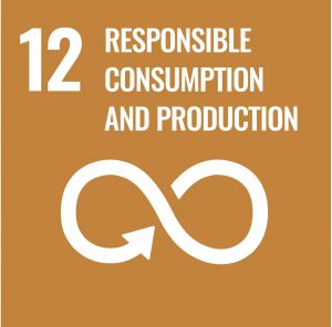 UN-Development-Goal-12-responsible-consumption-production-min
