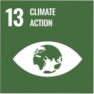 UN-Development-Goal-13-Climate-Action-min