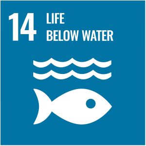 UN-Development-Goal-14-life-below-water-min