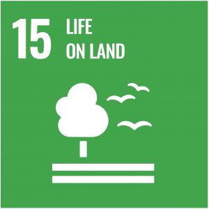 UN-Development-Goal-15-life-on-land-min