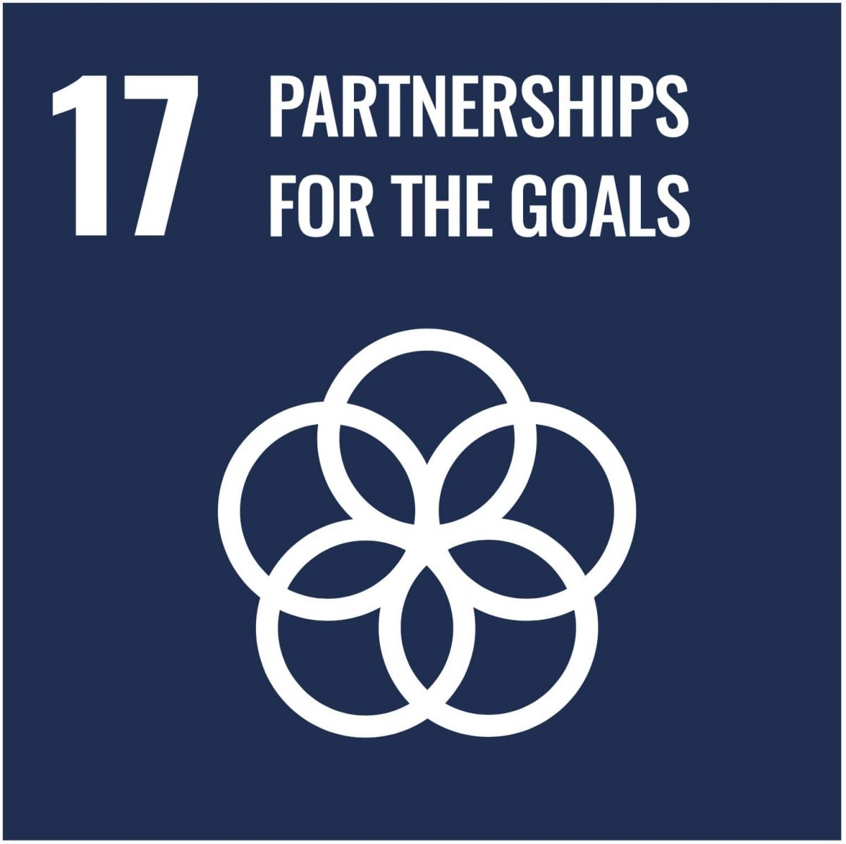 UN-Development-Goal-17-patnership-for-the-goals-min-sustainable-goals