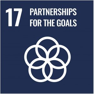 UN-Development-Goal-17-patnership-for-the-goals-min