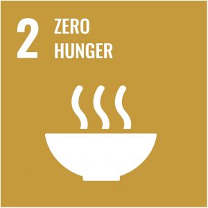 UN-Development-Goal-2-Zero-Hunger-min